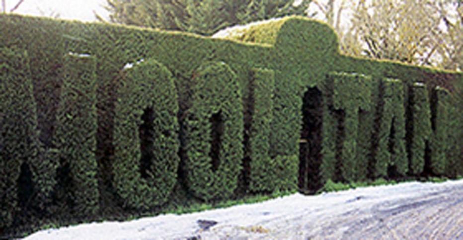 Mooltan House Hotel Hepburn Springs Kültér fotó